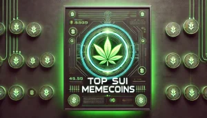 Top Sui Memecoins