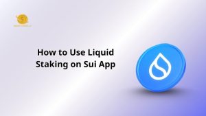 How to Use Liquid Staking on Sui App